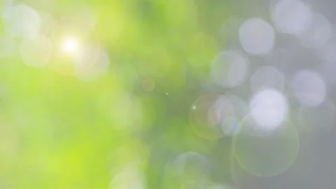 Green bio background, abstract blurred foliage bright sunlight 스톡 사진