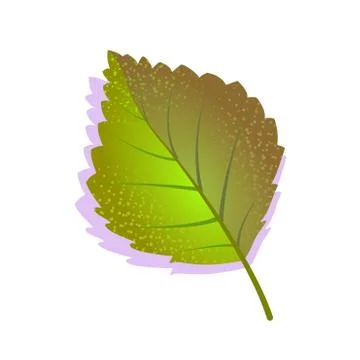 Green birch leaf icon, textured flat design shadow. Single nature, ecology Stock Illustration