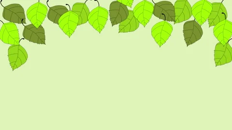 Green birch tree leaves frame on light green background. Hand drawn. Copy space. Stock Footage 136370440