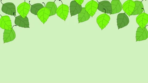 Green birch tree leaves frame on light green background. Hand drawn. Copy space. Stock Footage 136370915