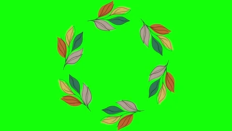Green Bird and Screen on Green Screen Background Horizontal 16:9 Video stock 339328375
