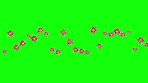 Green Bird and Screen on Green Screen Background Horizontal 16:9 Vídeo Stock 339332993