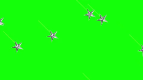 Green Bird and Screen on Green Screen Background Horizontal 16:9 Stock Footage 339444085