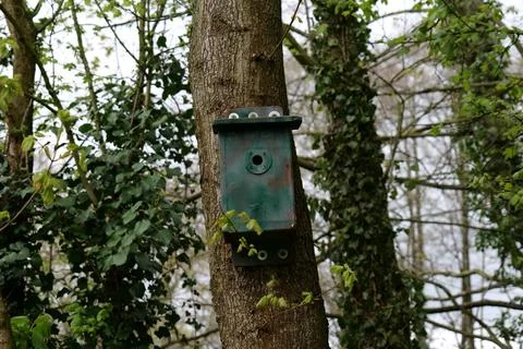 Green bird box Stock Photos