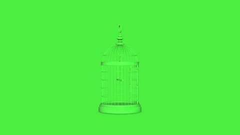 Green Birdcages Video stock 145762617