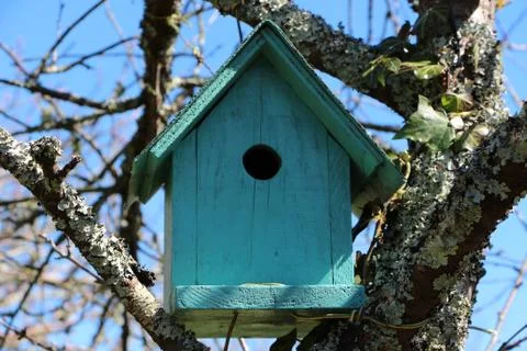 Green birdhouse in a tree Foto stock