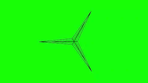 Green Black Bird Star Horizontal 16:9 Green Screen Stock-Footage 340461209