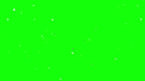 Green Black Bird Triangle Horizontal 16:9 Green Screen Vídeo Stock 340460624