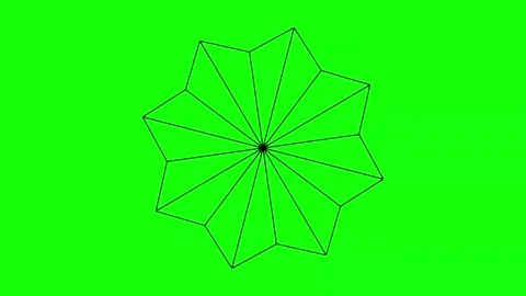 Green Black Flower Horizontal 16:9 Green Screen Vídeos de archivo 340461194