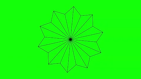 Green Black Flower Horizontal 16:9 Green Screen 動画素材 340461197