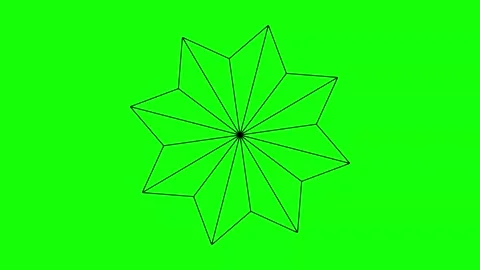 Green Black Flower Snow Horizontal 16:9 Green Screen 스톡 동영상 340461173