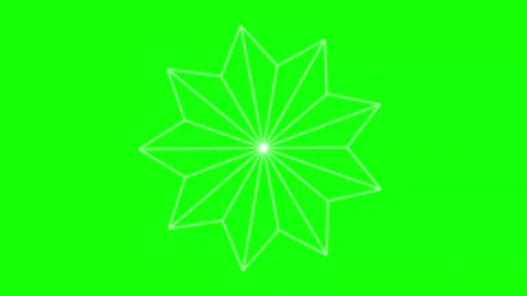 Green Black Flower Snow Horizontal 16:9 Green Screen Stock Footage 340461431
