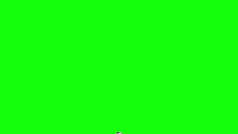 Green Black Screen Horizontal 16:9 Green Screen Vidéo 340460583