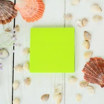 Green blank sheet and seashells on wooden background.Travel background Stock Photos