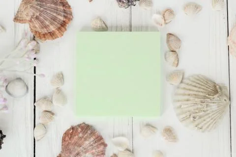Green blank sheet and seashells on wooden background.Travel background Stock Photos