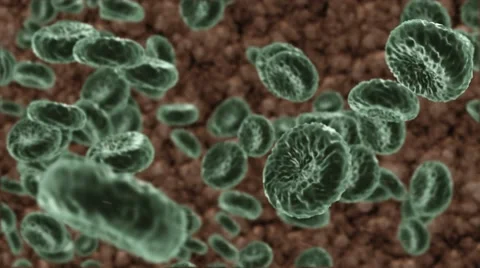 Green Blood Cells Stock-Footage 62800985