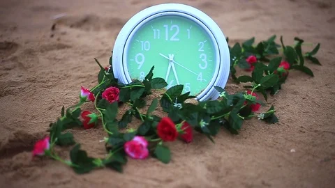 Green blossom on the sandy Stock Footage 94018037