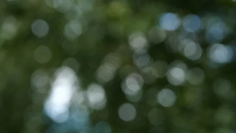 Green-blue blur effect 스톡 동영상 97076982