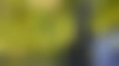 Green, blue blurred background vector Stock Illustration