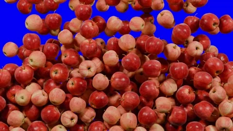 Green blue screen transition Apple falling down, animation Stock Footage 303485705