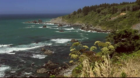 Green bluffs with ocean waves Stock-Footage 105459277