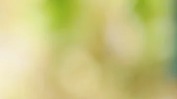 Green blur background. Stock Footage 86064729