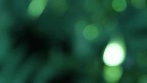 Green blur background with loop motion Stock Footage 196851532