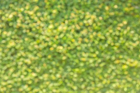 Green blur background Stock Photos