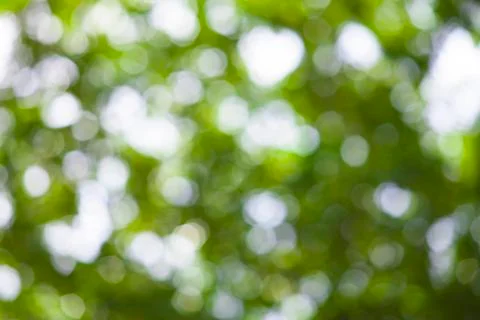 Green blur background. Stock Photos