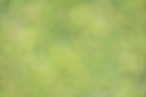Green Blur Background Stock Photos