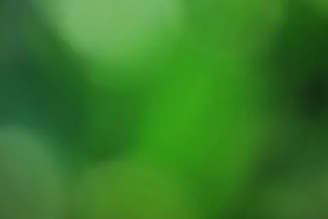 Green blured background 스톡 사진