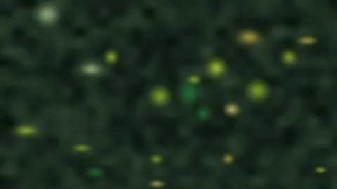 Green blurred abstract pattern with glowing dots. 2d animation Stock Footage 345558039