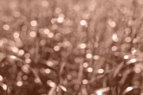 Green blurred background, bokeh effect. The basis for the postcard. Stock Photos