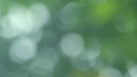 Green blurred background Video stock 294627933