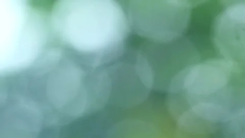 Green blurred background Video stock 294628260