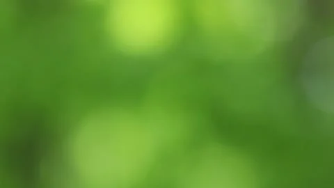 Green blurred background, glitter light and dark bokeh. Stock Footage 154202891