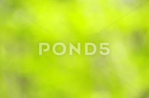 Green blurred background Stock Photos