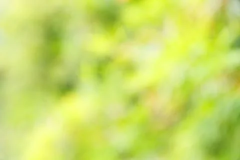 Green blurred background Stock Photos