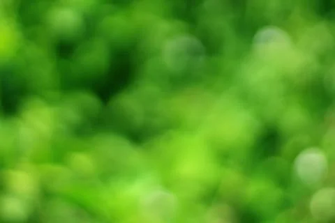Green blurred background Stock Photos