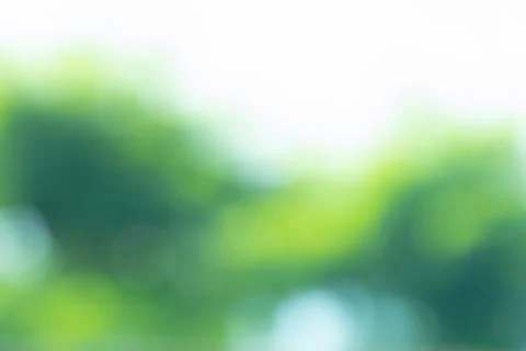 Green blurred background Stock Photos