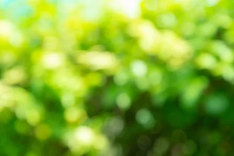 Green blurred background Foto stock