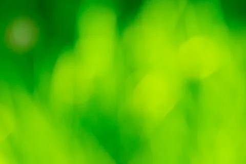 Green blurred background. Stock Photos