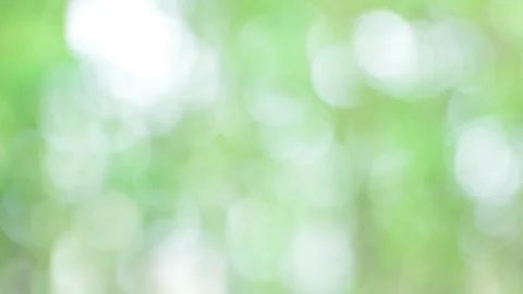 Green blurred light nature background, Green bokeh defocus summer or autumn Stock Footage 252804634