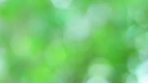 Green blurred light nature background, Green bokeh defocus summer or autumn Stock Footage 252804728