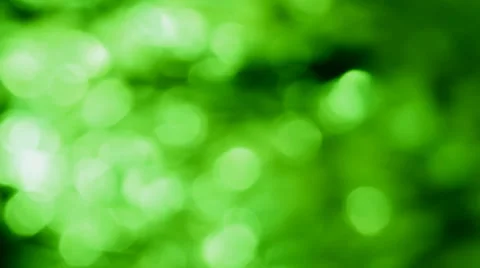 Green Blurred motion highlights Stock Footage 48566419