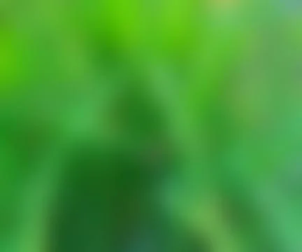 Green blurred picture texture Stock Illustration