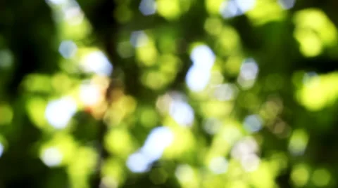 Green blurry background. Video stock 37017937