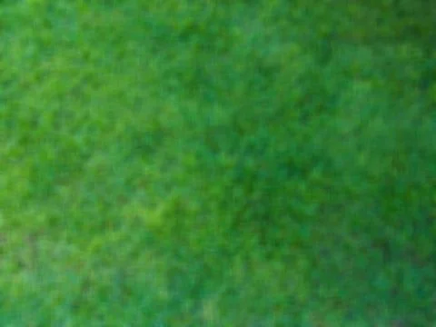 Green blurry image Stock Photos