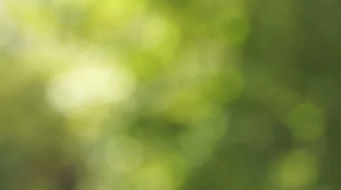 Green Bokeh (1) Stock Footage 29674262