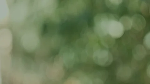 Green bokeh (1) Stock Footage 118405753